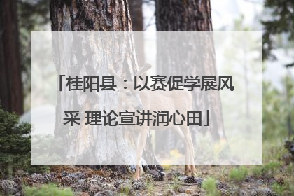 桂阳县：以赛促学展风采 理论宣讲润心田